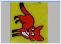 華顯光學 華顯光學