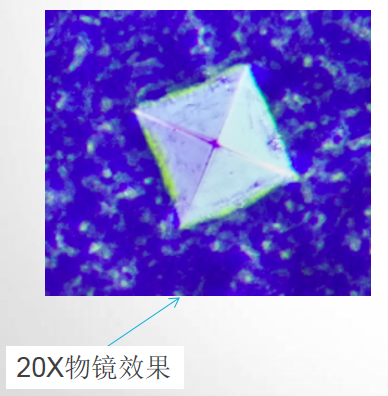 金相顯微鏡 金相顯微鏡